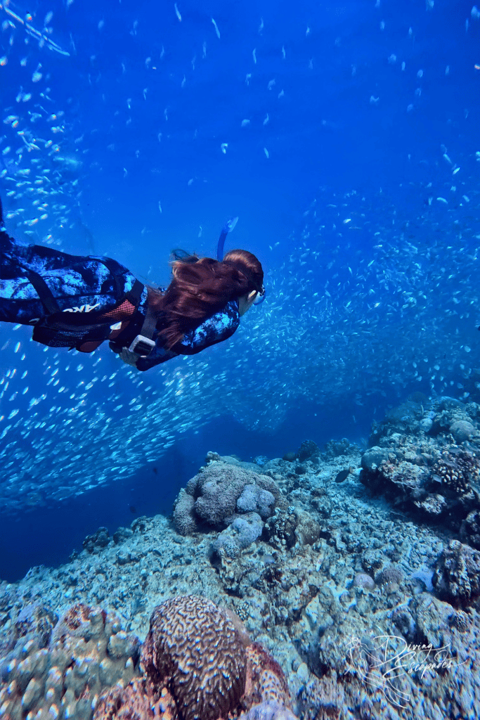 Learning freediving in moalboal