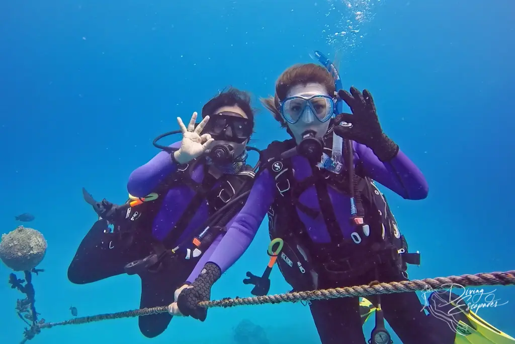 scuba diving principles buddy system 