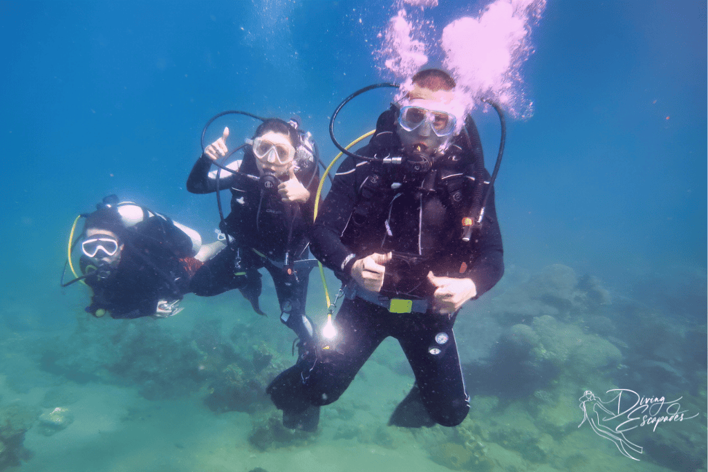 family diving with Big Bro