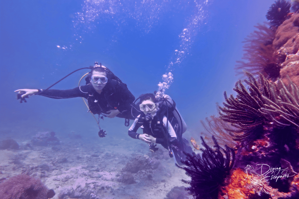 family diving with my bro