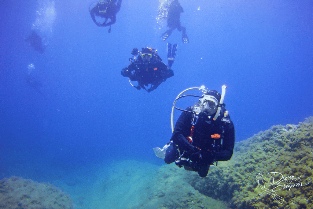 solo diver with a group