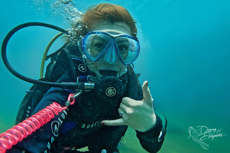 me, a solo dive traveller