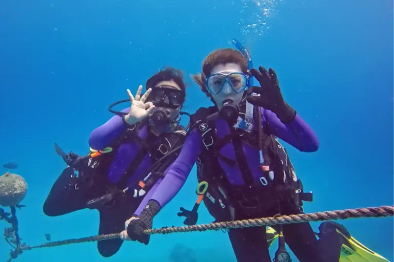 Family diving with my sister