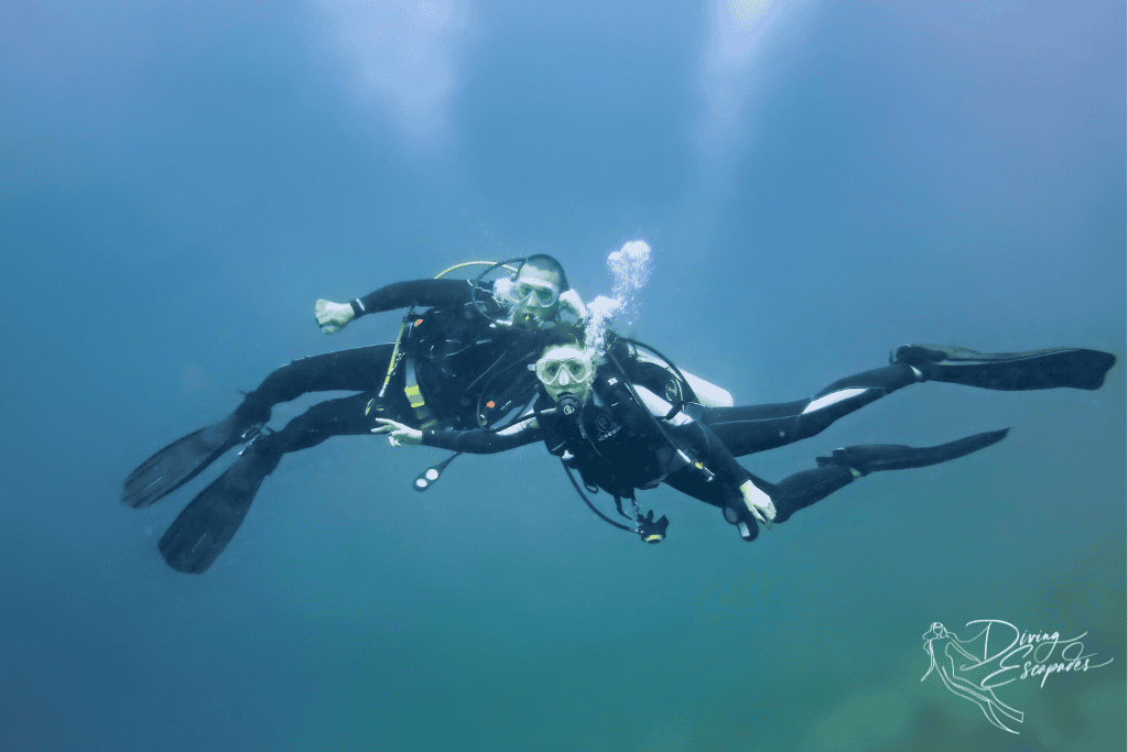 family diving with brother