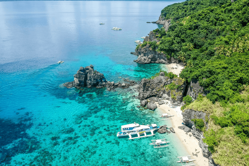 Apo Island Dauin Philippines