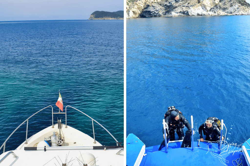 solo dive travel in Elba Island