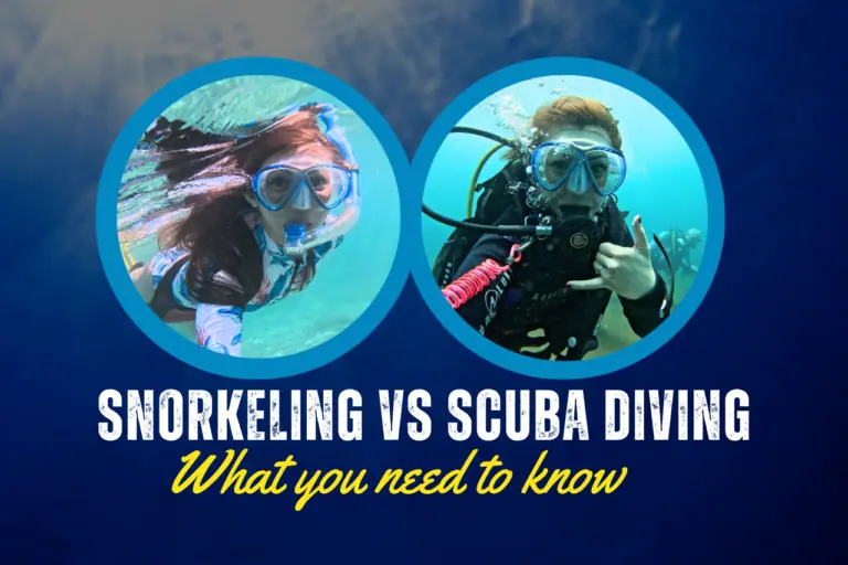 snorkeling vs scuba diving