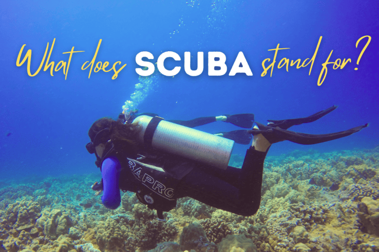 What Does SCUBA stand for? Quick Guide for Beginners