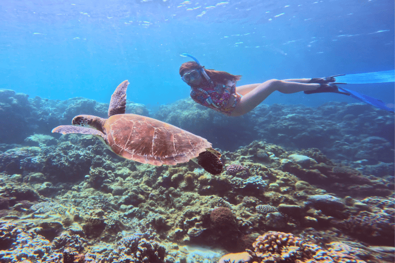 Snorkeling with sea turtle in Moalboal, Philippines