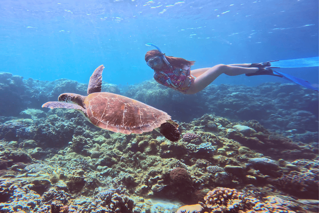 Snorkeling with sea turtle in Moalboal, Philippines