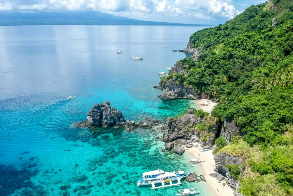 Diving in Dauin also include diving in Apo Island