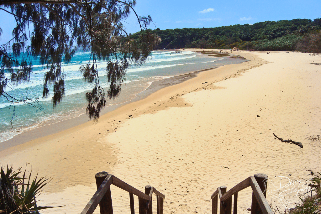 Cylinder Beach Straddie
