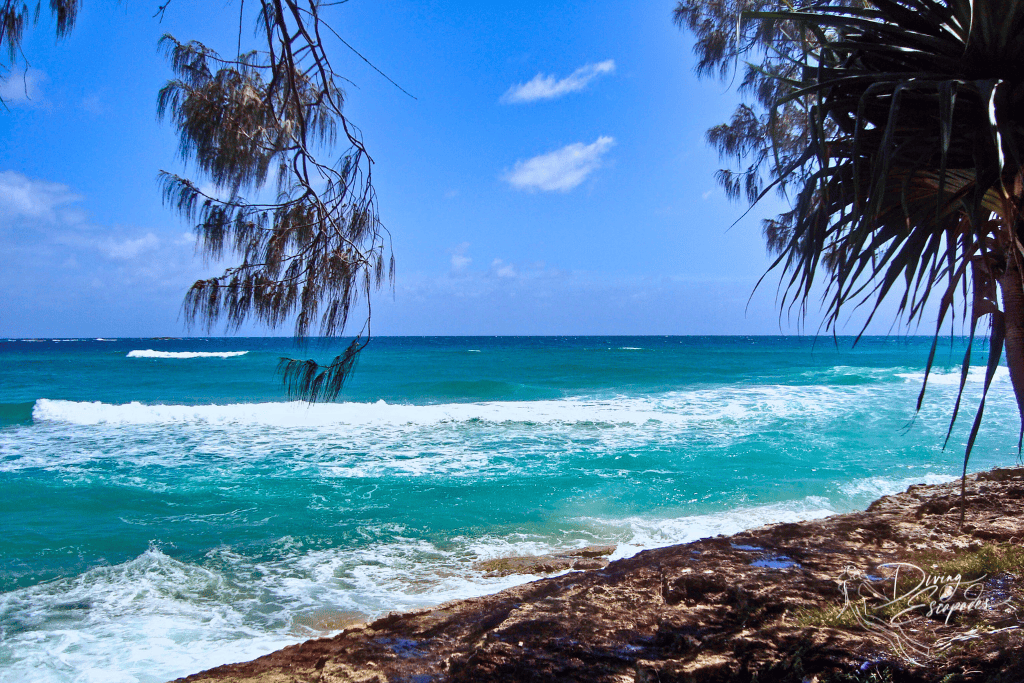 Straddie beach walk