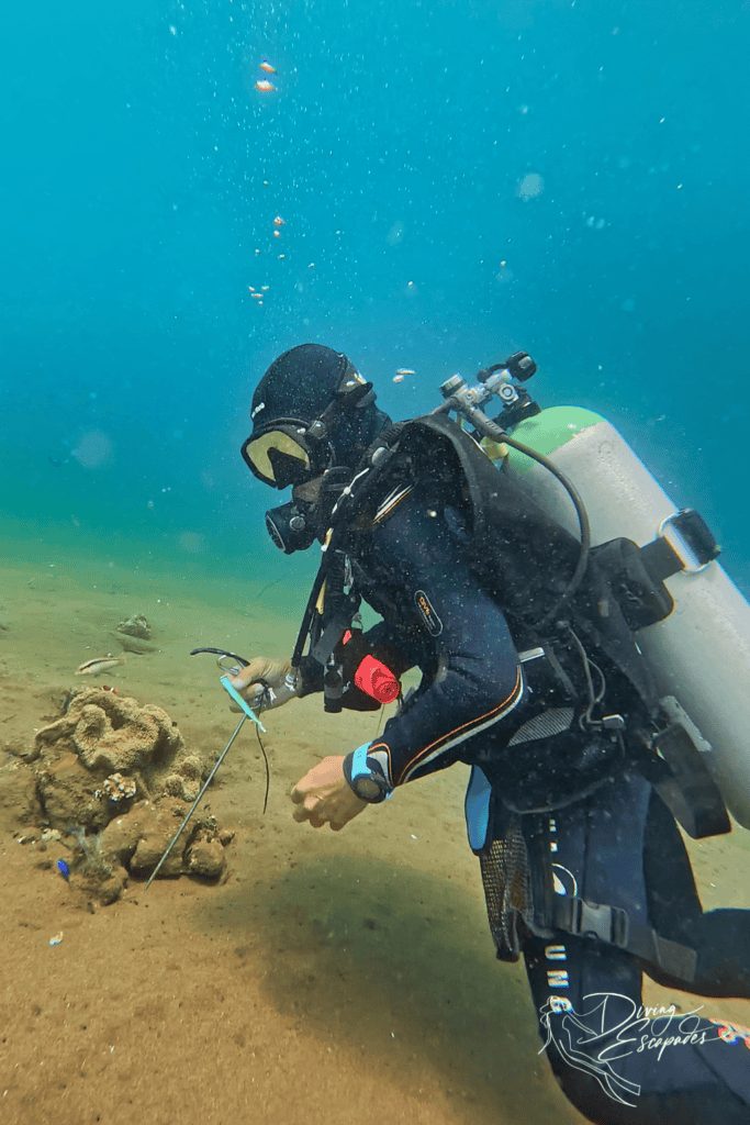 Dive Society Dauin divemaster picking up plastic