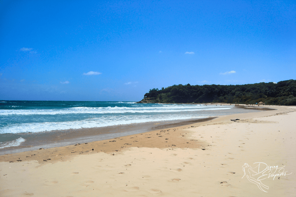 beach in straddie