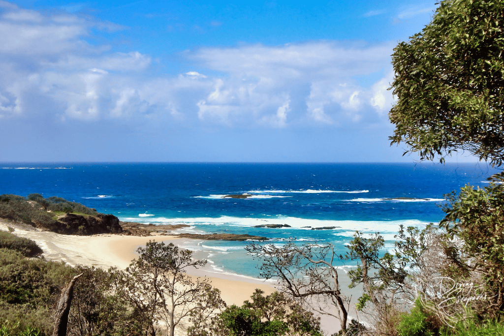 beach in straddie