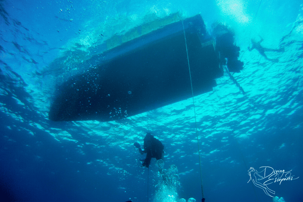 North Stradbroke Island diving boat