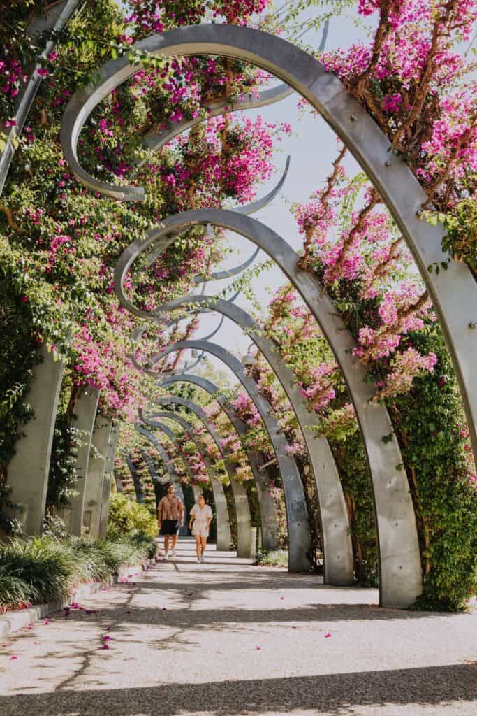 South Bank Parklands