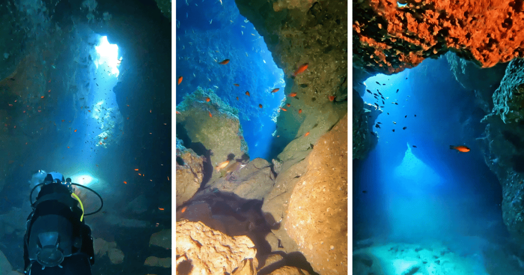 Scuba diving in San Vito Lo Capo in Grotta di Perciata