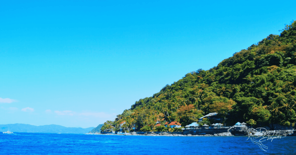 Anilao - A Scuba Diving Spot in the Philippines