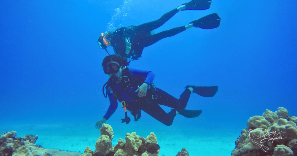 Kewalo Pipe dive site in Oahu