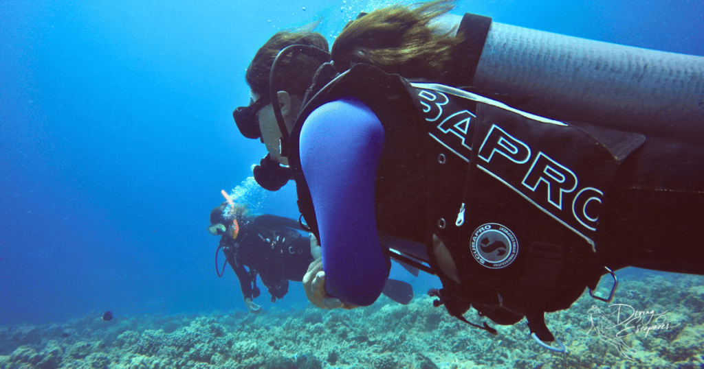 scuba diving in Oahu