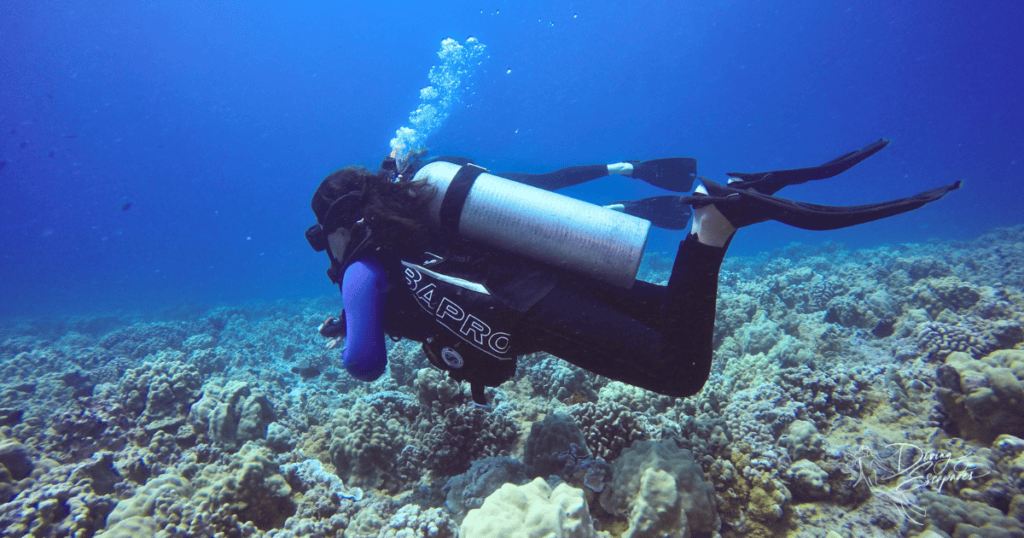 scuba diving in Oahu