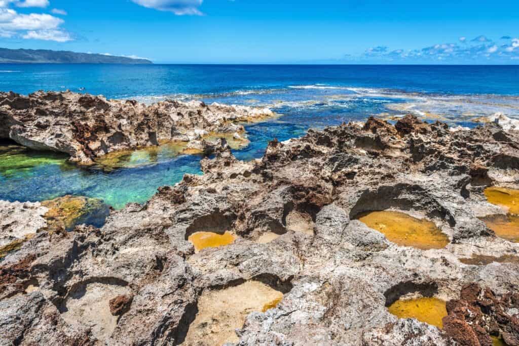 Sharks Cove on North Shore, a scuba diving site in Oahu