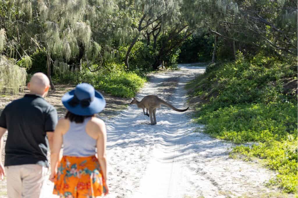 G'Day Adventure Tours in Bribie Island.