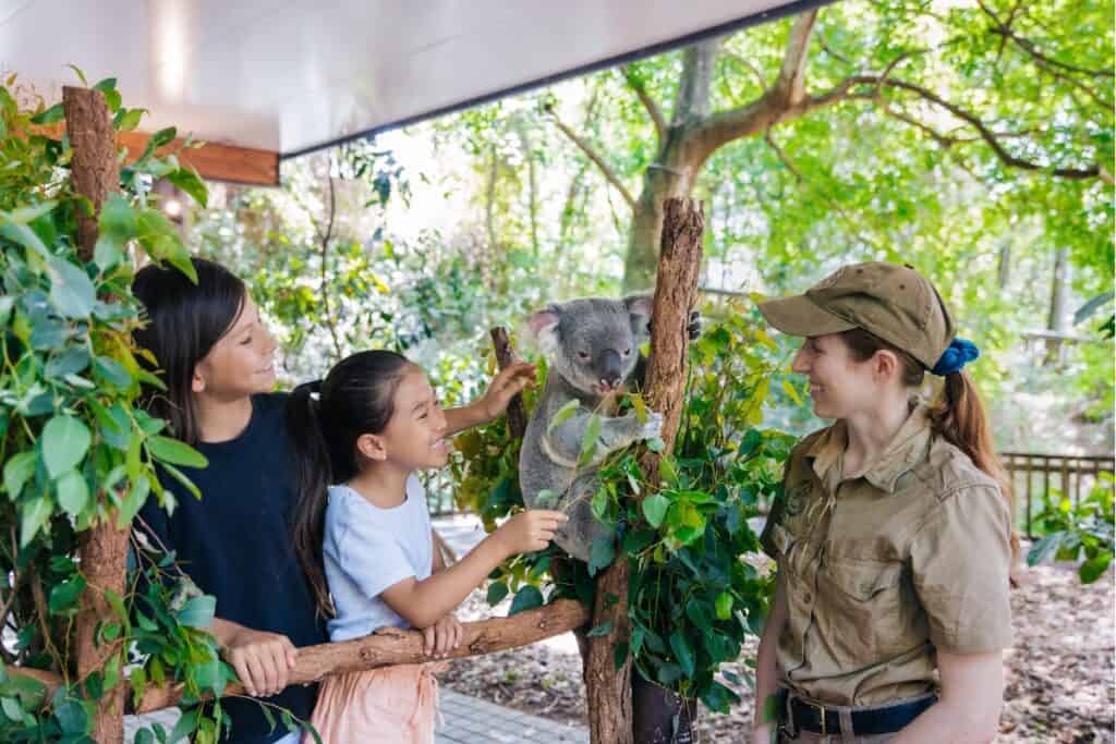 Lone Pine Koala Sanctuary tops the reason why Brisbane is worth visiting