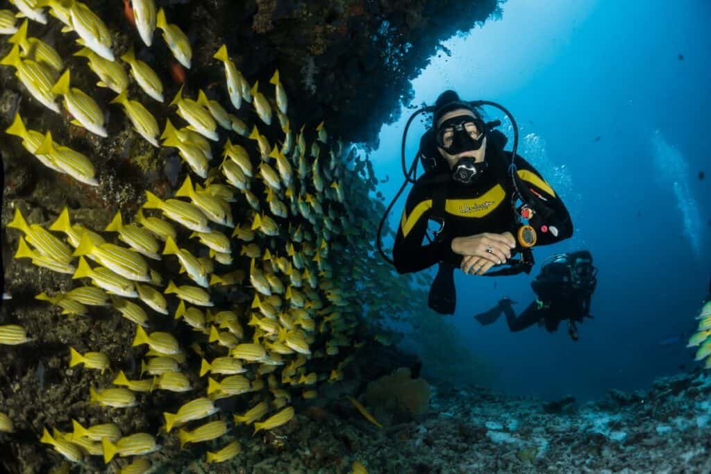 scuba diver wearing yellow and black wetsuit underwater