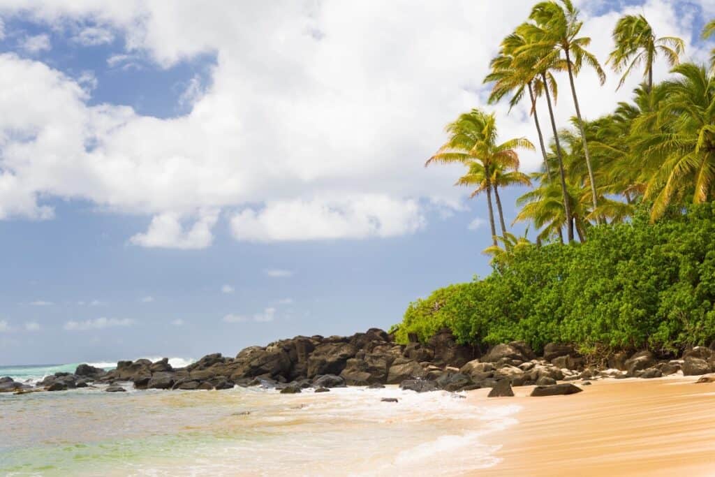 Turtle Bay - one of the best beaches in Oahu