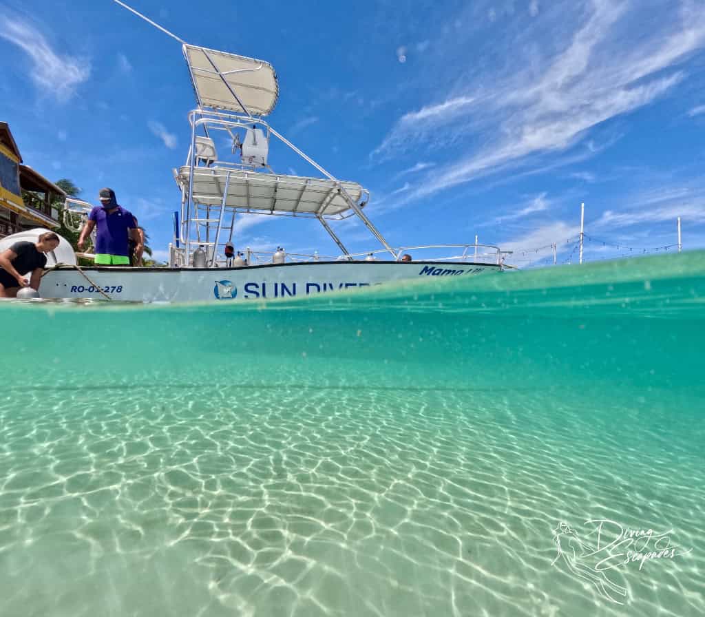 Roatan Diving dive shop