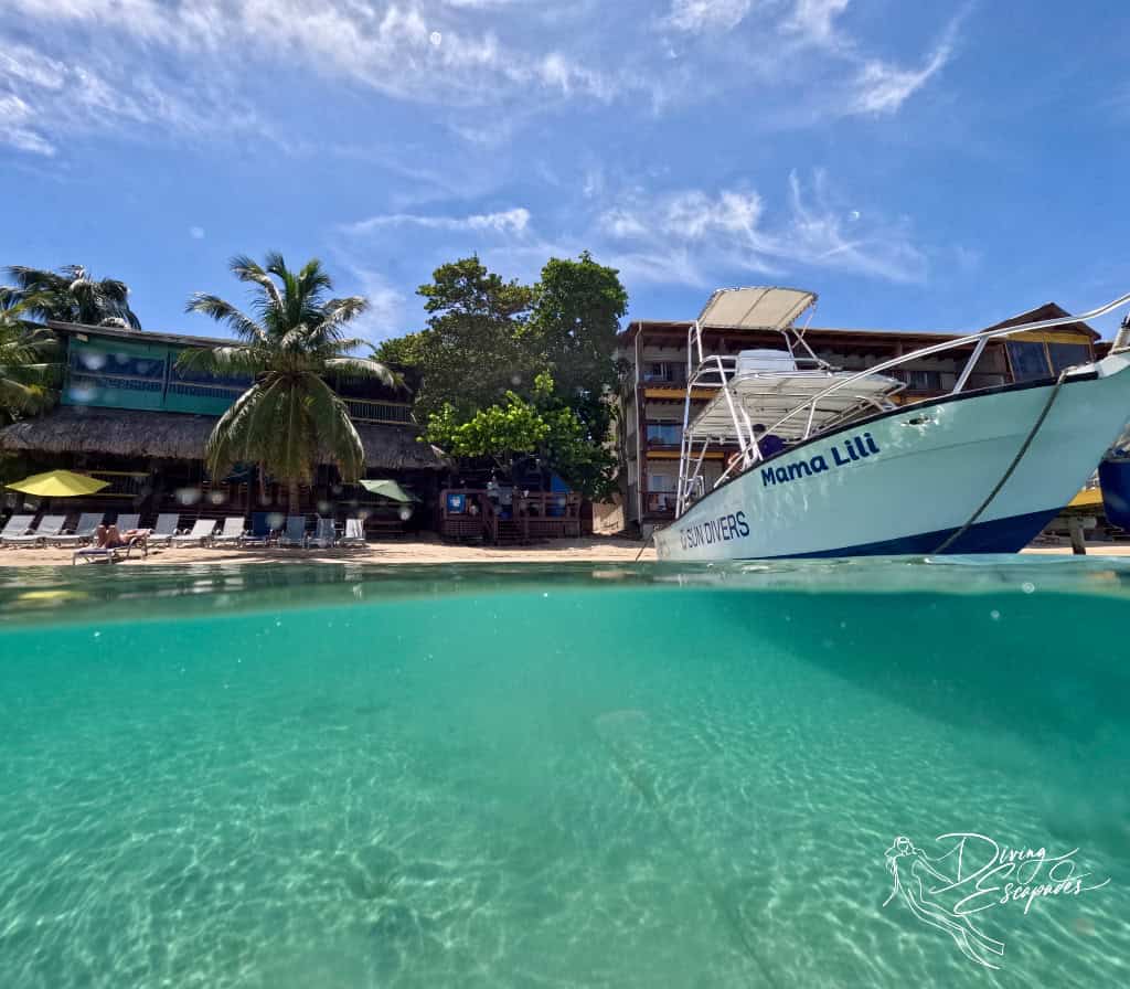 Roatan Diving