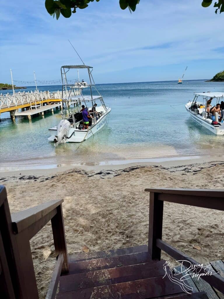 Roatan dive shop
