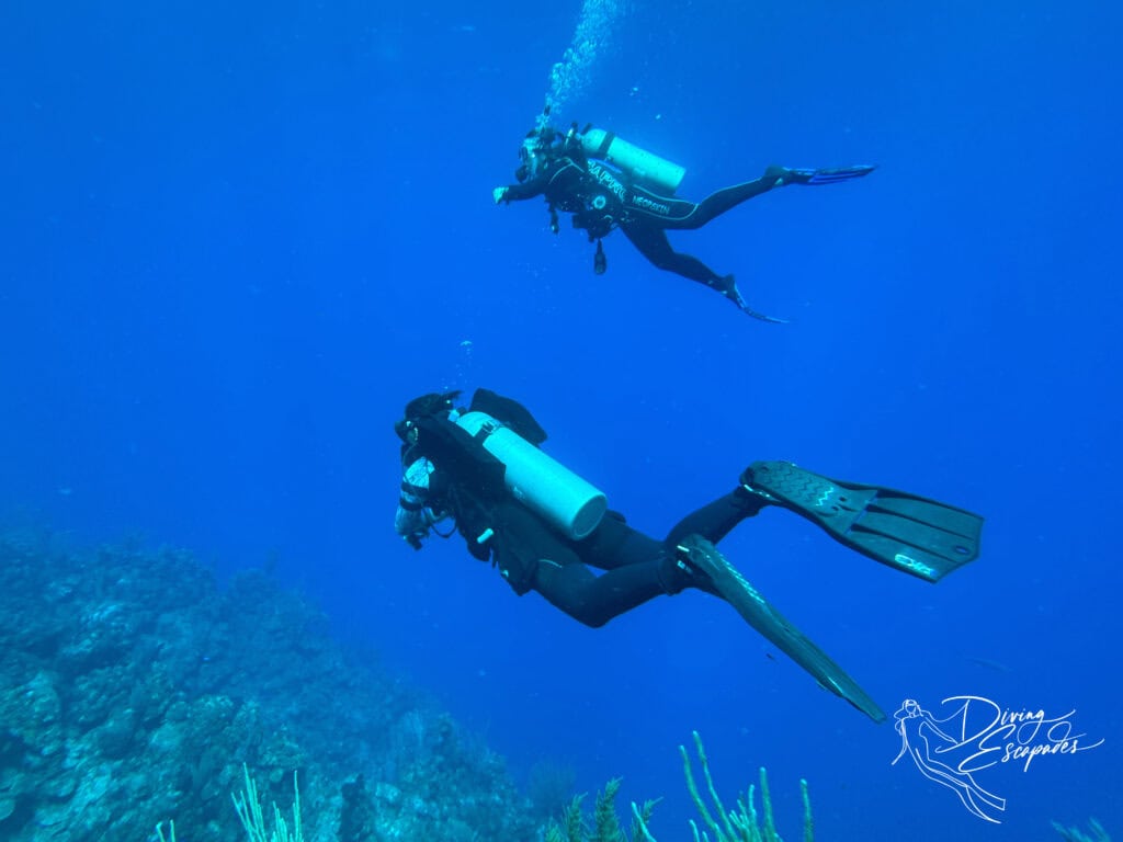 Marta of Sun Divers Roatan