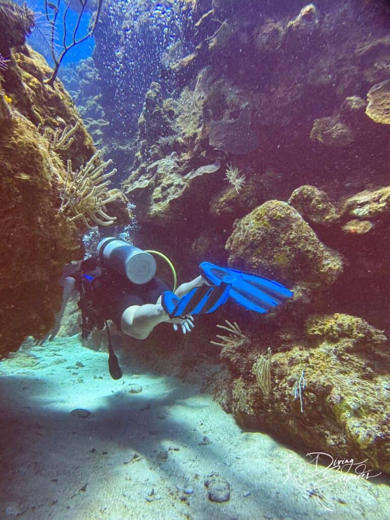 Blue Channel Roatan Diving
