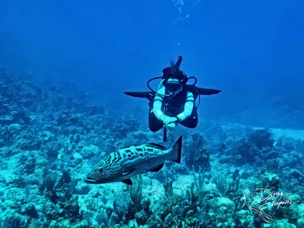 Marta of Sun Divers Roatan