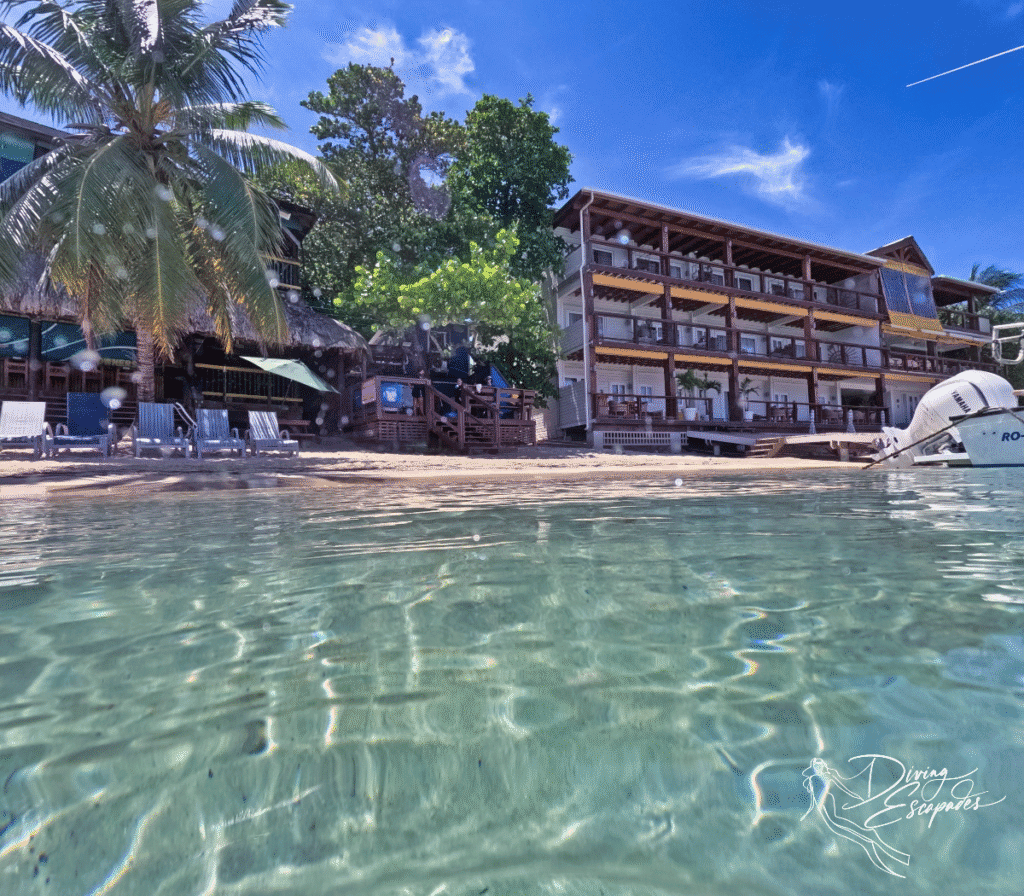The Beach House Boutique Hotel