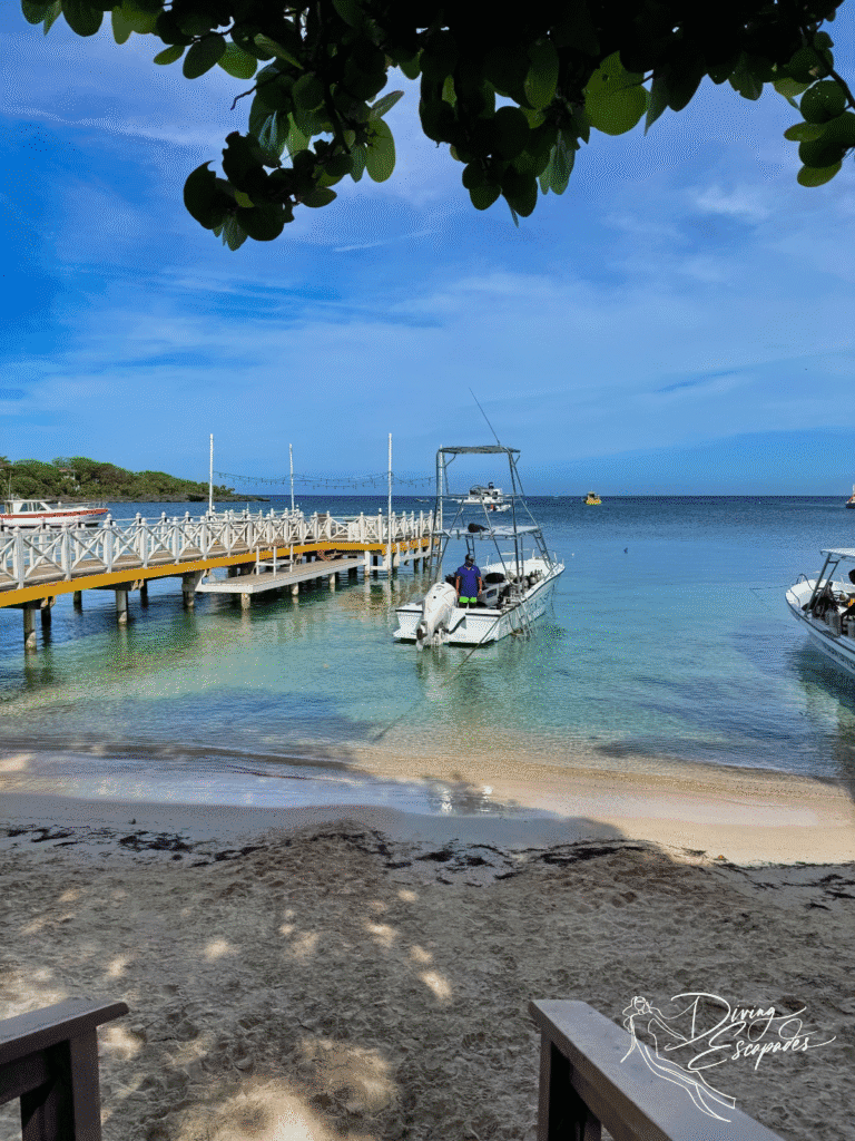 Beachfront dive shop - Sun Divers Roatan