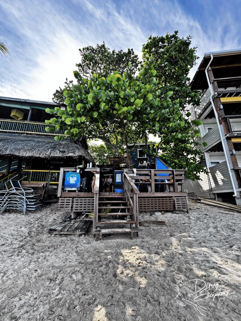 Sun Divers Roatan beach front shop