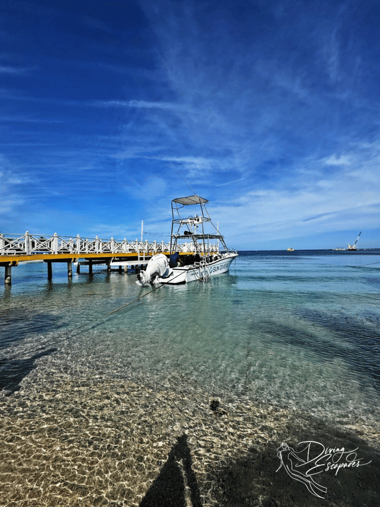 Sun Divers Roatan