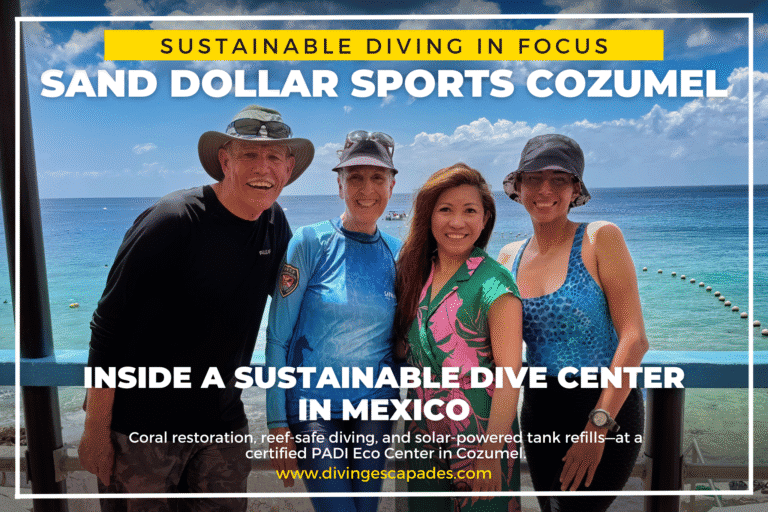 With some of Sand Dollar Sports Cozumel Team - Brett Hoelzer, Catherine Hoelzer, Cristina Moth and Lorie Za Neuberger Castillo of Diving Escapades