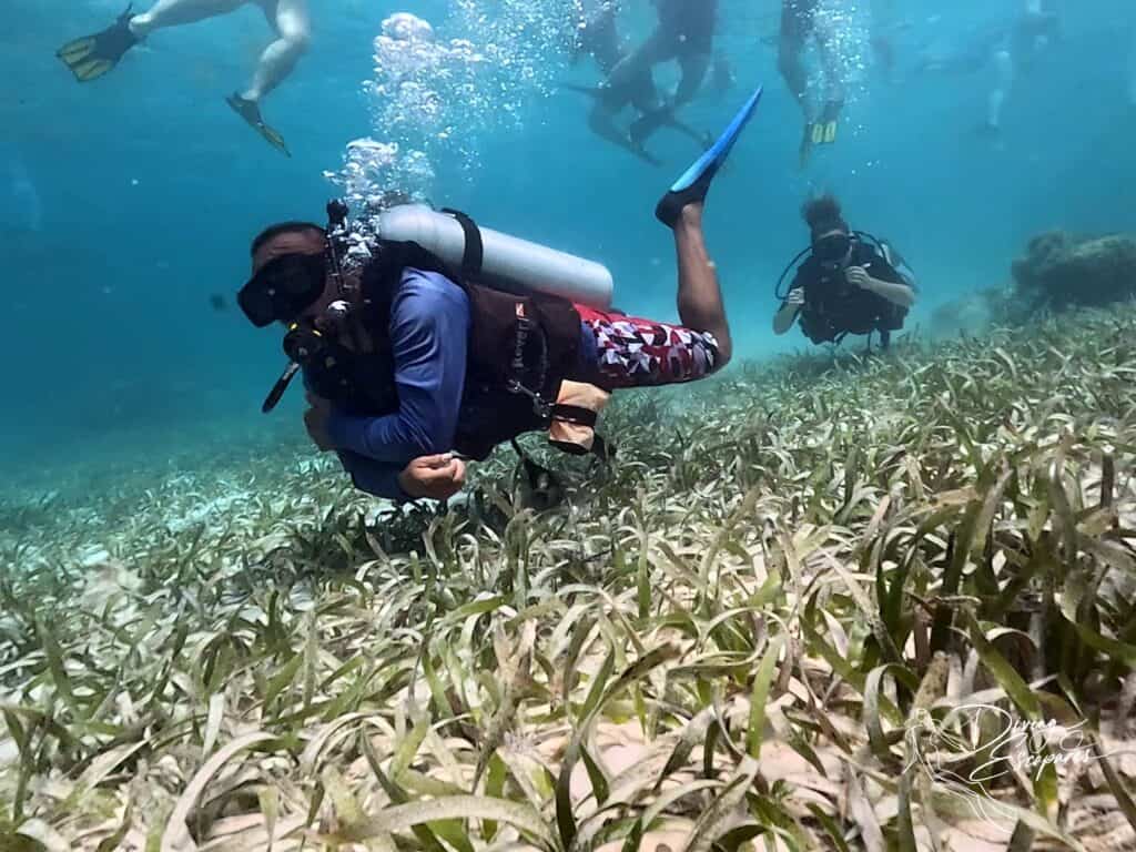 Belize scuba diving