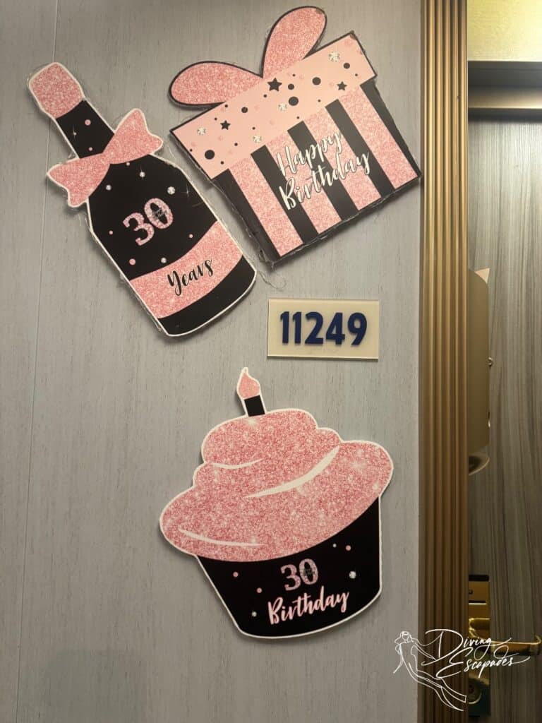 Birthday Cruise - Carnival Cruise Door Decorations