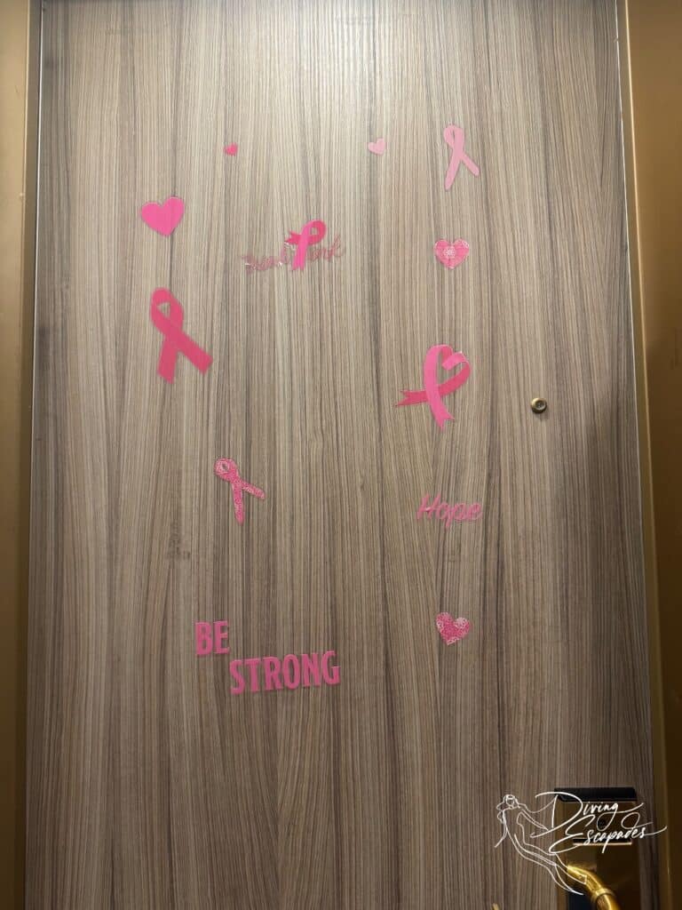 Carnival Cruise Door Decorations
