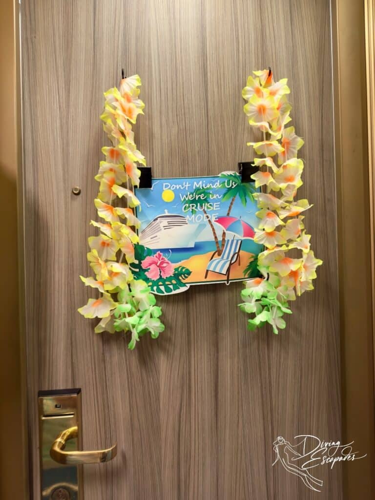 Carnival Cruise Door Decorations
