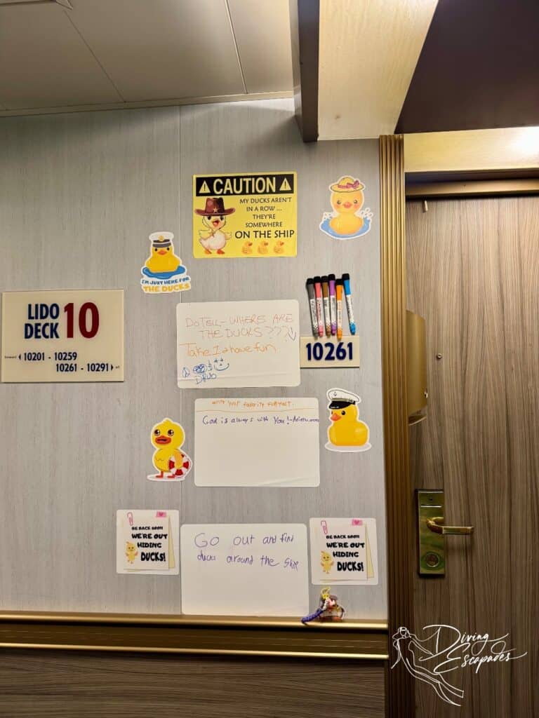 Carnival Cruise Door Decorations and Ducks
