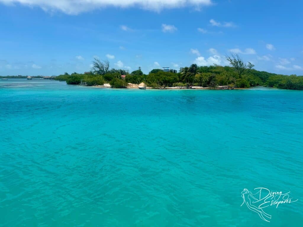 The Split at Caye Caulker Belize