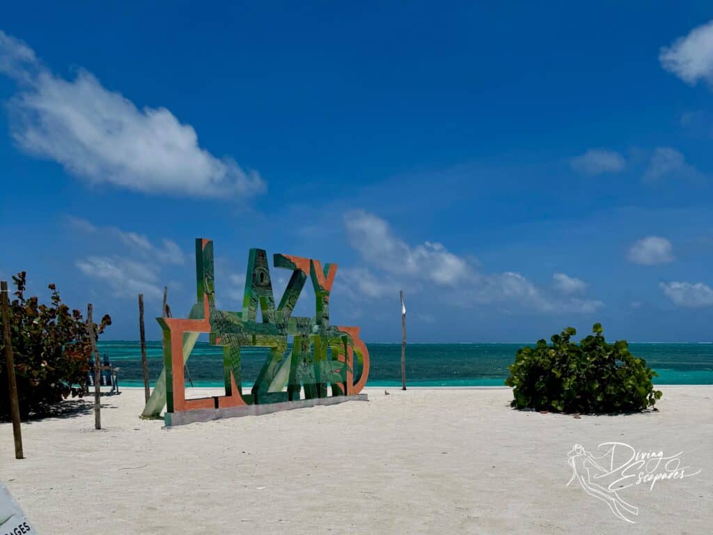Lazy Lizard at Caye Caulker Belize